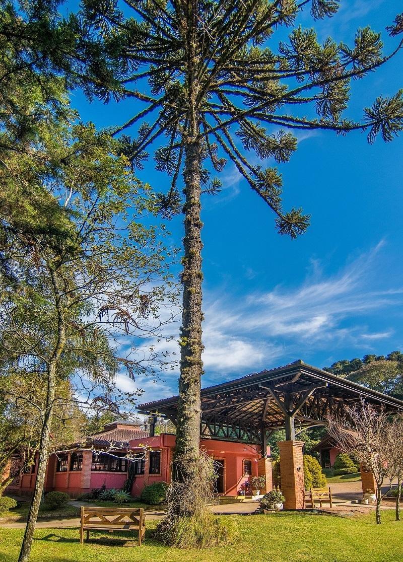 Pousada Rosa Hotel Gramado Exterior photo